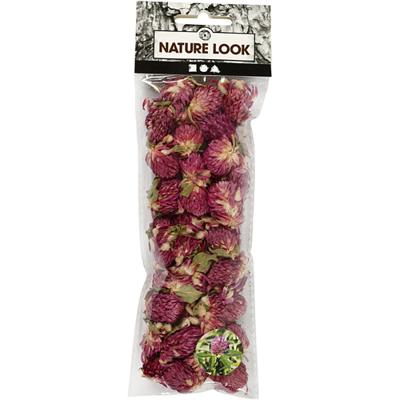 Creativ Company Gedroogde bloemen rode klaver paars, 15gr