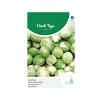 Zaden Spruitkool Groninger Hortitops - Hortitops - thumbnail