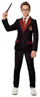 Gryffindor Verkleedkostuum Harry Potter Kind