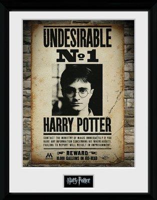 GB Eye poster in lijst Harry Potter Hogwarts No 1 30 x 40 cm GB Eye poster in lijst Harry Potter Hogwarts No 1 30 x 40 cm