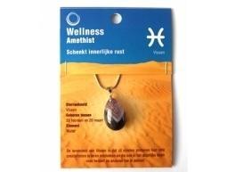 Ruben Robijn Sterrenbeeldhanger vissen (1 st)