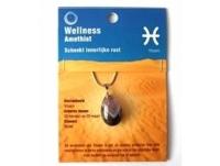 Ruben Robijn Sterrenbeeldhanger vissen (1 st) - thumbnail