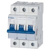 Doepke 09914116 DLS6H B32A 3polig 6KA Zekeringautomaat 3-polig 32 A 230 V, 400 V - thumbnail