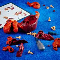 STEM Dinosaurusbouwpakket - LISCIANI GIOCHI - Archéo-Ludic - Realistische puzzel en constructie - thumbnail