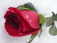 Origineel LCD-scherm en digitizer volledige montage met frame voor Samsung Galaxy A03S SM-A037 - thumbnail