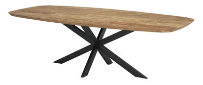 DTP Home Eettafel 'Evo' Deens ovaal, Teakhout, 260 x 110cm