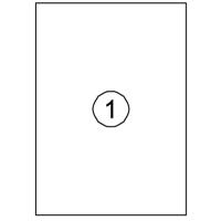 Etiket Quantore 210x297mm 100 stuks - thumbnail