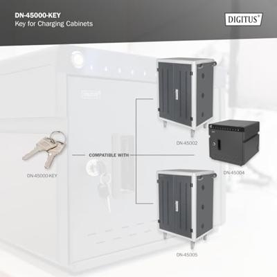Digitus DN-45000-KEY rack-toebehoren Vergrendelsleutel