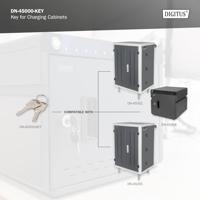 Digitus DN-45000-KEY rack-toebehoren Vergrendelsleutel - thumbnail