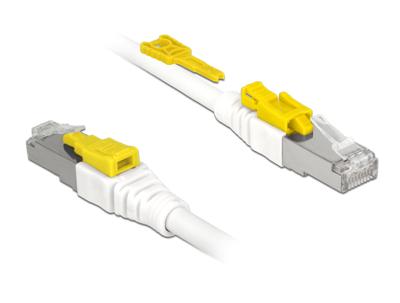 DeLOCK Patchkabel RJ-45 Secure met Cat.6a
