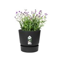 Elho Greenville bloempot 18 cm living black - thumbnail