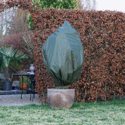 Nature Winterafdekhoes Planten 2,5x2m Groen