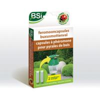 BSI feromooncapsules buxusmottenval navulling - thumbnail