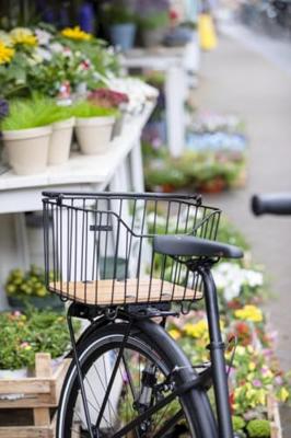 New looxs 100065.701 palermo alu mand zwart 24l