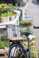 New looxs 100065.701 palermo alu mand zwart 24l - thumbnail