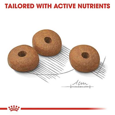 Royal Canin Mini Light Weight Care hondenvoer 8 kg