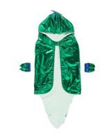 HEMA Verkleedset dino voor kinderen - thumbnail