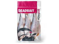 Prebaits voorn groot 450/550gr - thumbnail