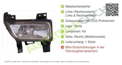 Mistlamp rechts 195269052