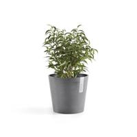 Ecopots bloempot Amsterdam Mini Ø17cm - Grijs - thumbnail