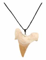 Hanger Fossiele Haaientand aan Koord (4 cm) - thumbnail