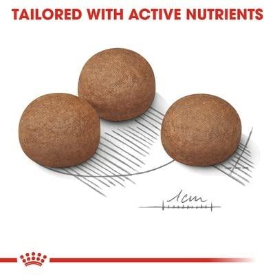 Royal Canin Maxi Digestive Care hondenvoer 2 x 12 kg