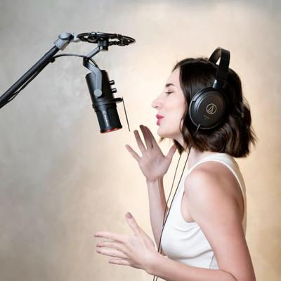 AVerMedia AM350 USB Microfoon Zwart