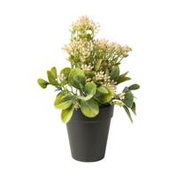 Kunstplant kalanchoe - roze - 24 cm - thumbnail