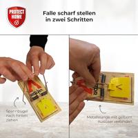 Rattenval Hout 1st - thumbnail