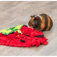 Speelkleed Trixie Rood Polyester 33 × 40 cm - thumbnail