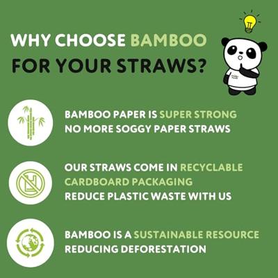 The Cheeky Panda Rietjes - bio-afbreekbaar - fsc bamboe - 100st