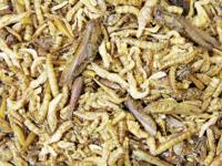 JR Farm knaagdier proteine cocktail 75 gram 16242 JR Gebr. de Boon - Gebr de boon - thumbnail