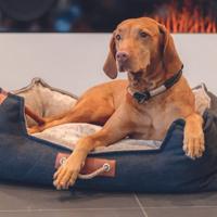 TRIXIE BE NORDIC HONDENMAND FOHR ZWART / ZAND 80X60 CM - thumbnail