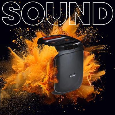 Denver BPS-165 Bluetooth luidspreker AUX, SD, USB Zwart