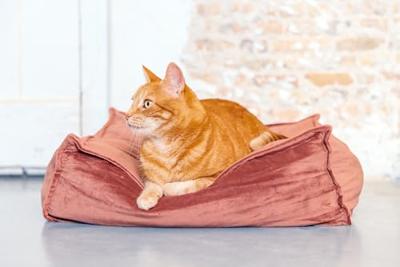 Designed by Lotte Kattenkussen VELVETI roze