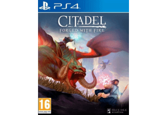 Citadel Forged with Fire