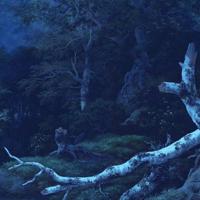 Noordwand Komar Ink Fotobehang Midnight - INX8-014 - thumbnail