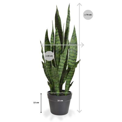 Sanseveria kunstplant N 70cm - groen