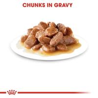 Royal Canin Digestive Care in Gravy (saus) natvoer kattenvoer zakjes 12 x 85 gram - thumbnail