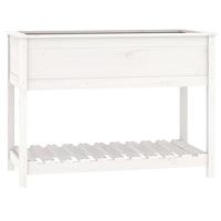 VidaXL Plantenbak met schap 111,5x54x81 cm massief grenenhout wit - thumbnail