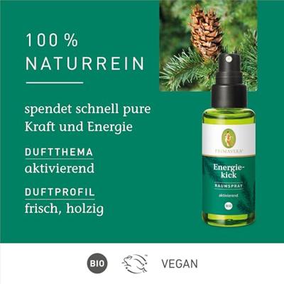 Primavera Roomspray energy boost bio 50 Milliliter