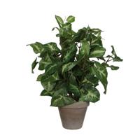 Kunstplant mica syngonium groen in pot - thumbnail