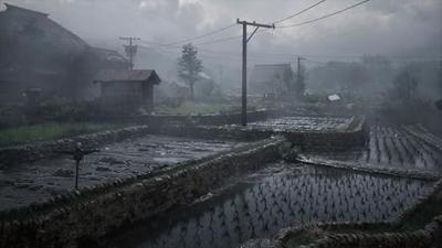 Silent Hill f Day One Edition Silent Hill f Day One Edition