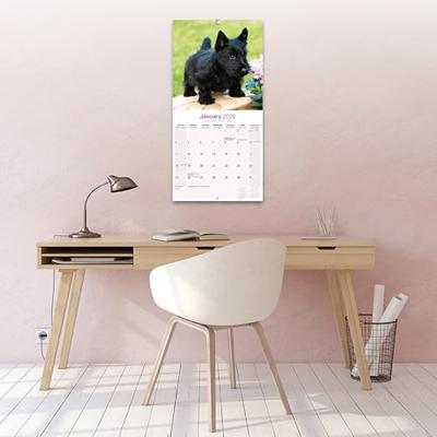 Schotse Terrier Kalender 2026 Schotse Terrier Kalender 2026
