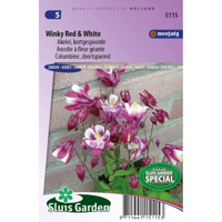 Aquilegia zaden Winky Red & White akelei - thumbnail
