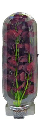 Easy Plant Hoog 30 Cm Nr. 17 aquaria Superfish - Superfish Easy Plant Hoog 30 Cm Nr. 17 aquaria Superfish - Superfish