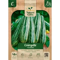 Courgette coucourzelle 10st - thumbnail