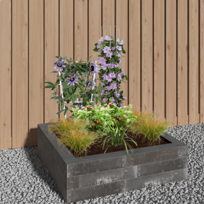 Borderpakket Landelijke Tuin - 1m²