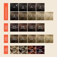 Phytocolor Permanent Color 1 Noir - thumbnail