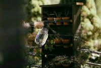Fiskars Drukspuit | 1,8 l 1027379 - thumbnail